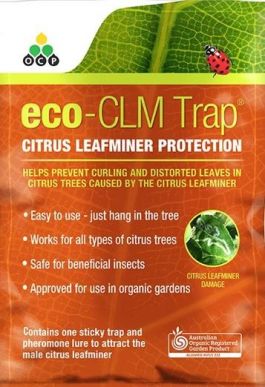 Eco-CLM (Citrus leaf miner)