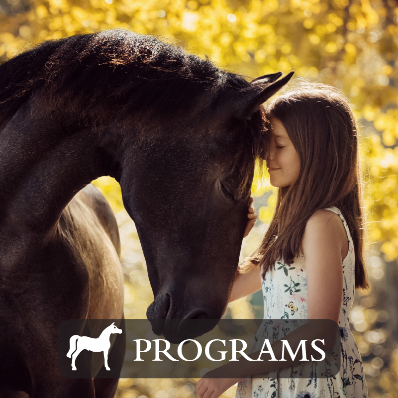 Horse Programs