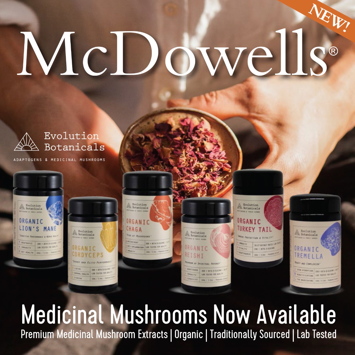 Medicinal Mushrooms Now Available