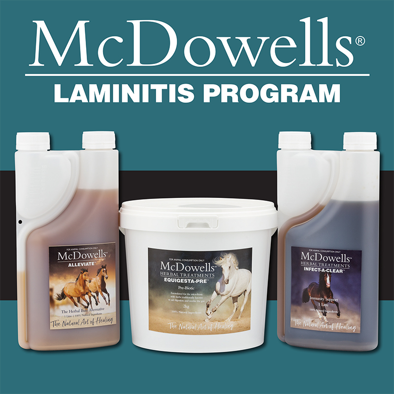 Laminitis Program Tile